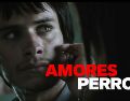 Amores Perros regresa a los cines para celebrar los 25 años desde su estreno. ESPECIAL