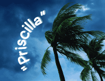 Autoridades piden extremar precauciones a la población en general en las zonas de los estados mencionados por lluvias, viento y oleaje. ESPECIAL / CANVA