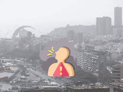 Las declaraciones se dieron en el foro Estado Actual y Futuro de la Investigación sobre Contaminación Atmosférica, realizado en el ICAyCC. EFE / ARCHIVO