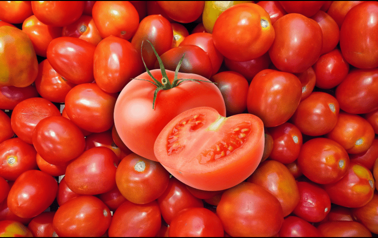 Existe una reducción significativa en la pérdida de peso fisiológico de los tomates cuando se almacenan con ceniza. ESPECIAL / CANVA