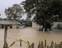 El municipio aparece entre las tendencias en redes sociales, ya que numerosos usuarios comparten videos e imágenes que muestran cómo Poza Rica está inundado ante las intensas lluvias. SUN / E. Ávila Pérez