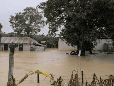 El municipio aparece entre las tendencias en redes sociales, ya que numerosos usuarios comparten videos e imágenes que muestras con Poza Rica está inundado ante las intensas lluvias. SUN / E. Ávila Pérez