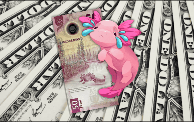 El dólar despidió la semana en 19.08 pesos en sucursales de Banamex, 23 centavos por arriba del jueves. ESPECIAL / CANVA