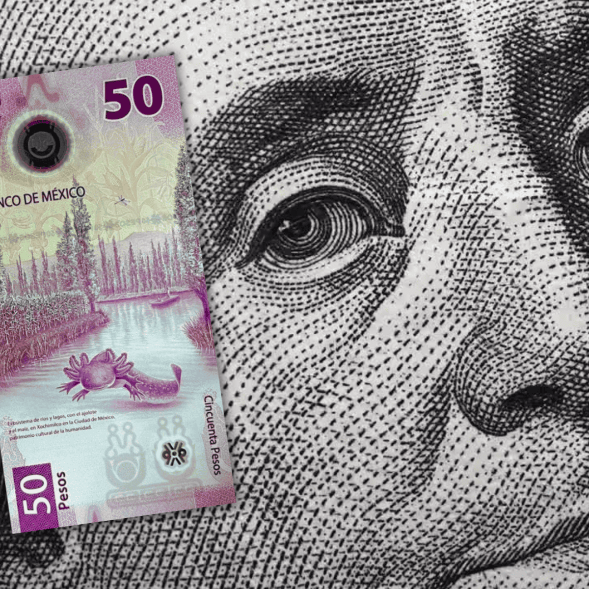 Peso abre semana dando porrazo al dólar | El Informador