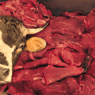 ¿Por qué el precio de la carne en México subió tanto?