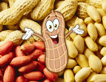 El cacahuate es una excelente fuente de proteínas, vitaminas, minerales y 