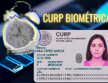 Esta nueva versión de la CURP estará integrada por una fotografía, escaneo de iris, huellas digitales y una firma electrónica, lo que la convertiría en un documento infalsificable. ESPECIAL