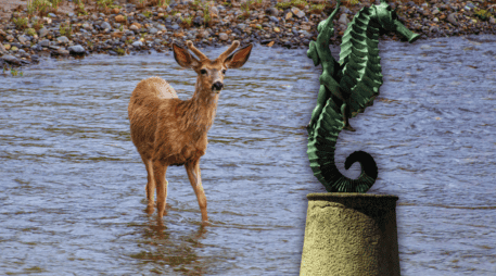 Muchos usuarios, incluso, pidieron que el animal fuera rescatado y reubicado para evitar un encuentro fatal con un reptil en Puerto Vallarta. ESPECIAL / CANVA