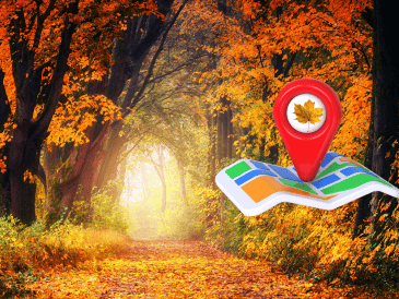 El Bosque de Arce de Jalisco ofrece una experiencia otoñal única sin salir de México. CANVA