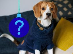 En el espectro social, el azul se opone a colores como el rojo (pasión, peligro, visibilidad) o el amarillo (alegría, riesgo, creatividad). UNSPLASH / B. Griffiths