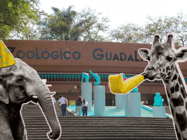 ¡Toma nota! El Zoológico Guadalajara celebra sus 37 años con una promoción increíble. ESPECIAL/ EL INFORMADOR/ ARCHIVO / FACEBOOK/ Zoológico Guadalajara