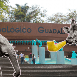 ¿Cuándo es el último día de entradas a 1 peso en el Zoológico Guadalajara?
