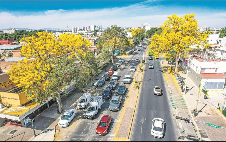Autoridades de Guadalajara promueven la participación ciudadana en políticas públicas, incluyendo la conservación de áreas verdes. EL INFORMADOR/A. Navarro