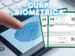 Con la CURP biométrica se buscará combatir la suplantación de identidad, reducir los trámites repetitivos y buscará facilitar la localización de personas desaparecidas. ESPECIAL / CANVA
