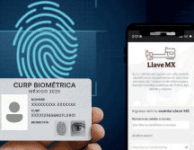 La CURP Biométrica será un nuevo documento de identificación oficial que pretende modernizar el formato original de la CURP. PEXELS/ESPECIAL