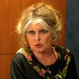 Brigitte Bardot, sex symbol de los 60's está hospitalizada por "una enfermedad grave"