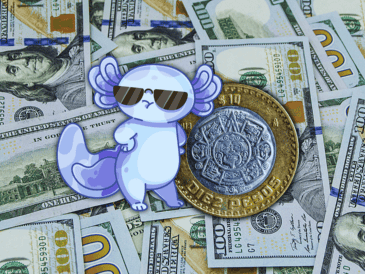 El dólar al menudeo terminó en 18.84 pesos a la venta en las ventanillas de las sucursales de Banamex, 1.26% o 24 centavos por debajo del cierre de la semana pasada. ESPECIAL / CANVA