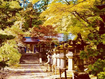 Entre viñedos, altares y hojas: destinos ideales para el otoño