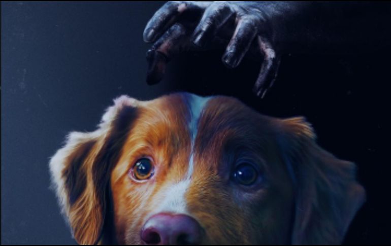 Te compartimos el tráiler de esta película esperando que seas de los primeros espectadores de este filme que dará mucho de qué hablar. ESPECIAL / IFC Films