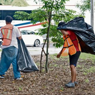 Van más de mil personas multadas por tirar basura