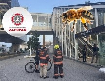 Bomberos de Zapopan atienden ataque de abejas en la estación de Mercado del Mar de la Línea 3 del Tren Ligero. ESPECIAL / FACEBOOK Protección Civil y Bomberos Zapopan