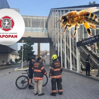 Ataque de abejas en la estación Mercado del Mar deja a seis personas lesionadas