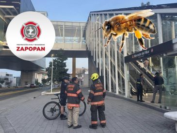Bomberos de Zapopan atienden ataque de abejas en la estación de Mercado del Mar de la Línea 3 del Tren Ligero. ESPECIAL / FACEBOOK Protección Civil y Bomberos Zapopan