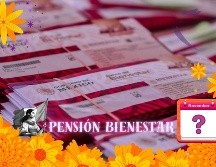 Para resolver dudas o conocer el calendario oficial de pagos, se recomienda consultar directamente los canales oficiales de la Secretaría del Bienestar. ESPECIAL / Programas del Bienestar y CANVA