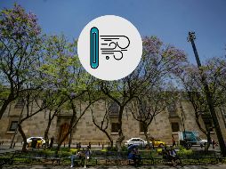 Índice de la calidad por zonas del AMG. EL INFORMADOR / ARCHIVO