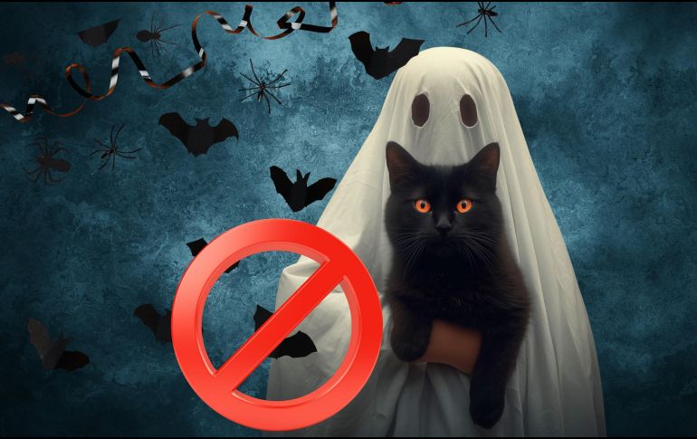 La resolución prohíbe expresamente 