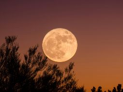 Esta fase lunar en Libra se centra en un reinicio interior, promoviendo la elección consciente y la responsabilidad emocional. Unsplash