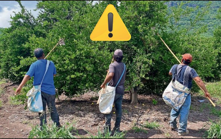 Expertos coincidieron en que denunciar la extorsión en algunas regiones de México convierte a los ciudadanos en blanco para la delincuencia organizada. SUN / ARCHIVO