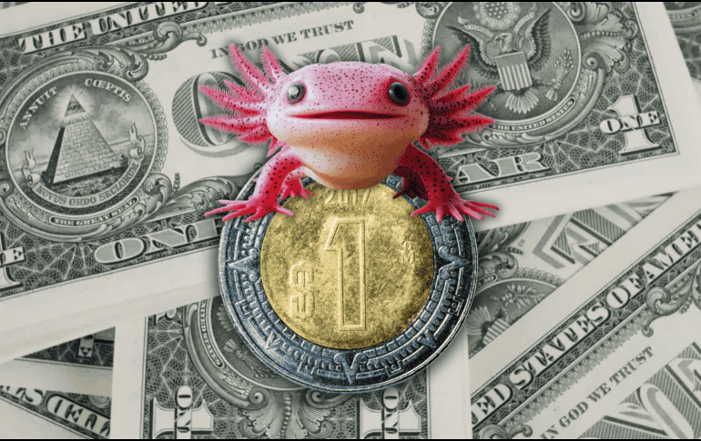 Es importante recordar que la cotización del dólar se actualiza a lo largo del día. ESPECIAL / CANVA