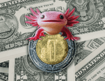 Es importante recordar que la cotización del dólar se actualiza a lo largo del día. ESPECIAL / CANVA