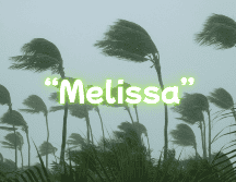 El SMN concluyó que la tormenta tropical 