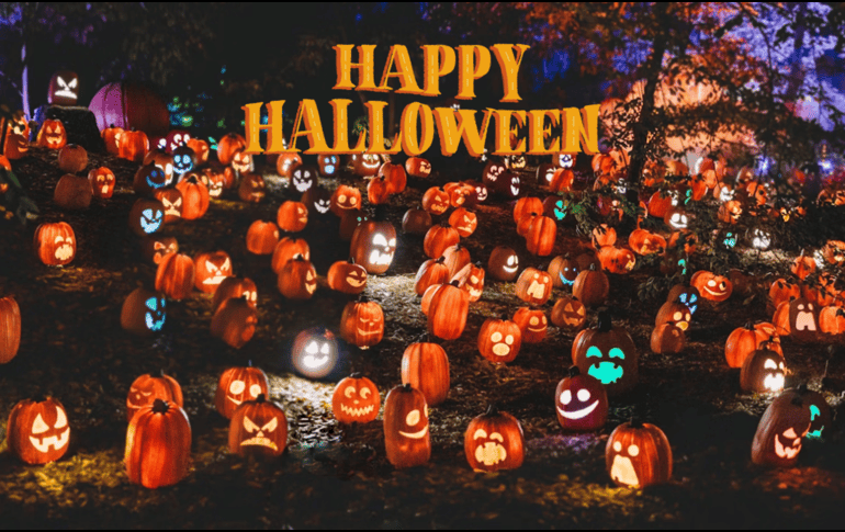 Descubre el verdadero origen del Halloween. UNSPLASH / S. VAN ELK