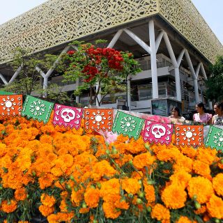 Compra todo lo que necesitas para tu altar de muertos en estos mercados