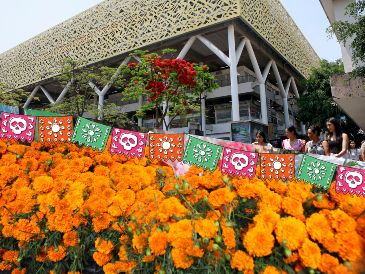 Prepara tu casa para recibir en casa a las almas de los seres que alguna vez amaste con un banquete muy especial en el altar de muertos. EL INFORMADOR / ARCHIVO