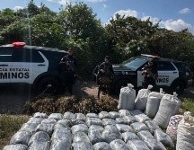 Elementos de la Policía Estatal de Caminos aseguraron diversos paquetes con vegetal verde seco con las características de la marihuana en San Marcos. ESPECIAL
