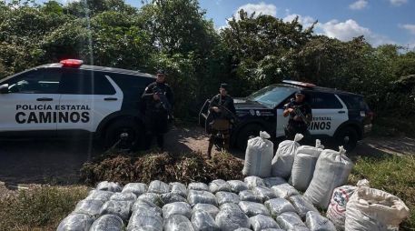 Elementos de la Policía Estatal de Caminos aseguraron diversos paquetes con vegetal verde seco con las características de la marihuana en San Marcos. ESPECIAL