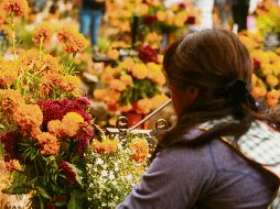 Velas y flores iluminan el lago de Pátzcuaro mientras las familias purépechas honran a sus difuntos en una tradición centenaria. ESPECIAL