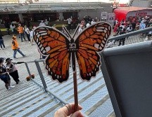 El papel con el que están elaboradas cuenta con semillas de linaza, flor nube y chía, para que puedan crecer en las casas. EL INFORMADOR / P. GALLARDO