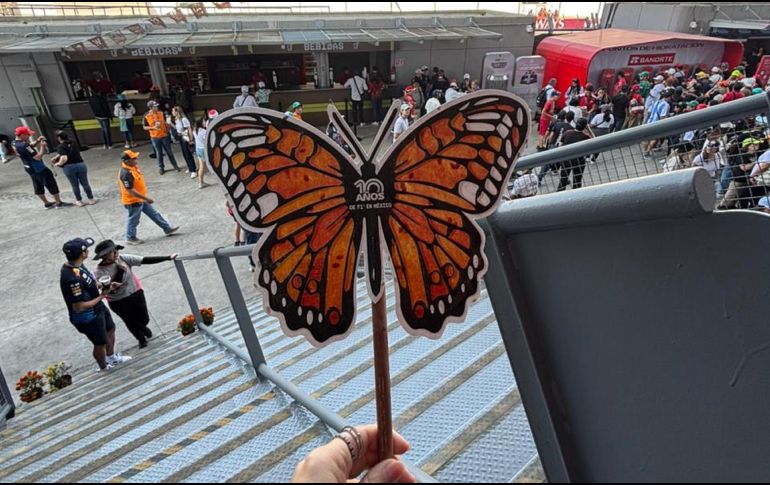 El papel con el que están elaboradas cuenta con semillas de linaza, flor nube y chía, para que puedan crecer en las casas. EL INFORMADOR / P. GALLARDO