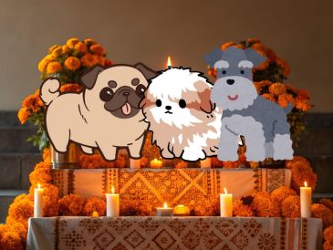 Muchos hogares mexicanos dedicarán esta ofrenda para aquellos seres que dejaron huellas imborrables. CANVA.