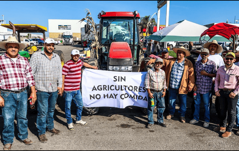 Productores declararon que ya hay concentración en municipios como Ocotlán, La Barca, Atotonilco, Degollado y Arandas. EL INFORMADOR / A. Navarro