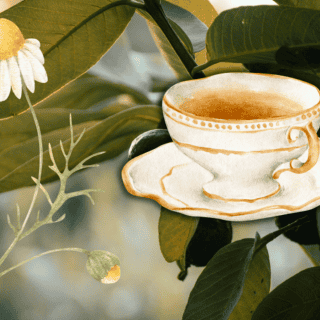 ¿Para qué sirve tomar té de hoja de guayaba con manzanilla?