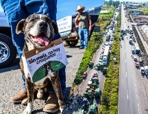 Los maiceros pidieron una disculpa a la población por las afectaciones que esta manifestación les pudiera ocasionar. EL INFORMADOR / A. Navarro