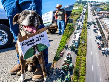 Los maiceros pidieron una disculpa a la población por las afectaciones que esta manifestación les pudiera ocasionar. EL INFORMADOR / A. Navarro