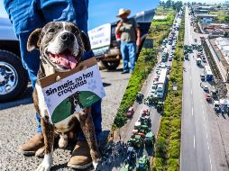 Los maiceros pidieron una disculpa a la población por las afectaciones que esta manifestación les pudiera ocasionar. EL INFORMADOR / A. Navarro