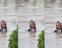 Durante el desastre en Veracruz, se difundieron videos de Doña Elo y Don Hilario, un matrimonio de adultos mayores que permaneció unido frente a la crisis. ESPECIAL